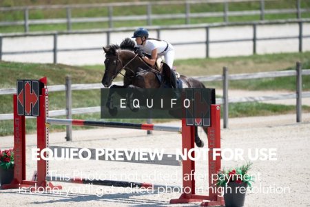 2024_Olympic_Spirit_SAT_CSI2_Bronze_125-0003.jpg