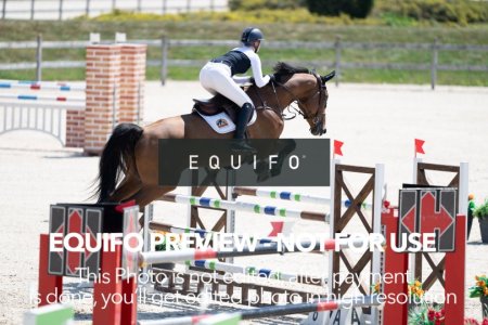 2024_Olympic_Spirit_SAT_CSI2_Bronze_125-0006.jpg