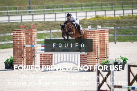 2024_Olympic_Spirit_SAT_CSI2_Bronze_125-0043.jpg
