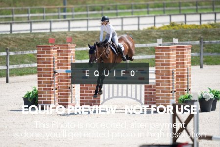2024_Olympic_Spirit_SAT_CSI2_Bronze_125-0044.jpg