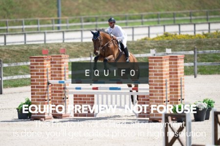 2024_Olympic_Spirit_SAT_CSI2_Bronze_125-0081.jpg