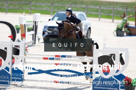 2024_Olympic_Spirit_SAT_CSI2_Bronze_125-0091.jpg