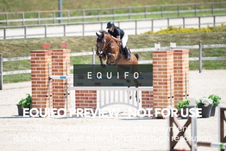 2024_Olympic_Spirit_SAT_CSI2_Bronze_125-0120.jpg