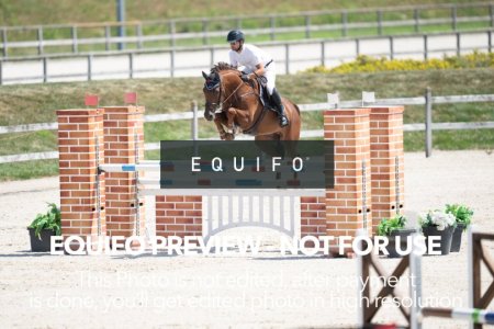 2024_Olympic_Spirit_SAT_CSI2_Bronze_125-0147.jpg