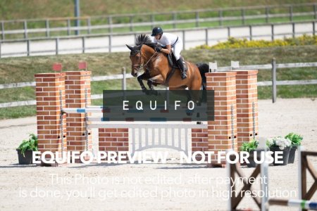 2024_Olympic_Spirit_SAT_CSI2_Bronze_125-0166.jpg