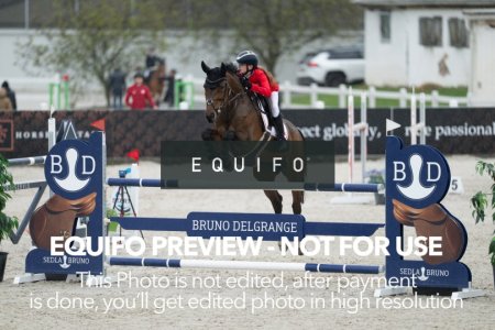 CSIO_Zduchovice_2025_FR_CH_NATIONS_CUP-0025.jpg