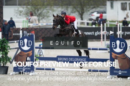 CSIO_Zduchovice_2025_FR_CH_NATIONS_CUP-0081.jpg