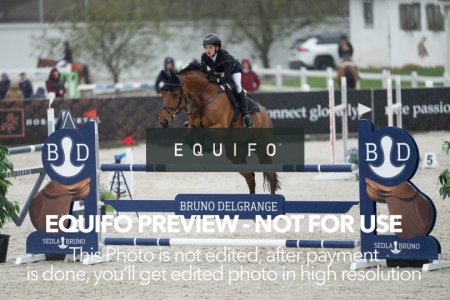 CSIO_Zduchovice_2025_FR_CH_NATIONS_CUP-0102.jpg