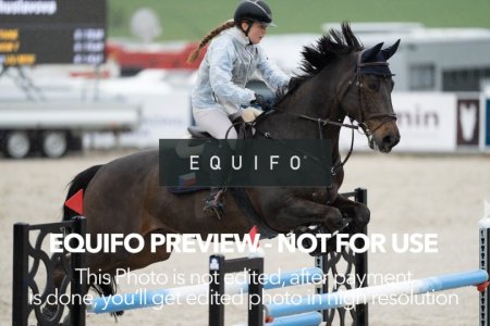 CSIO_Zduchovice_2025_FR_CH_NATIONS_CUP-0122.jpg