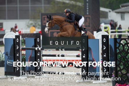 CSIO_Zduchovice_2025_FR_CH_NATIONS_CUP-0171.jpg