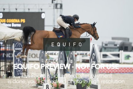 CSIO_Zduchovice_2025_FR_J_NATIONS_CUP-0019.jpg
