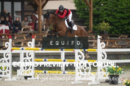 CSIO_Zduchovice_2025_FR_J_NATIONS_CUP-0074.jpg
