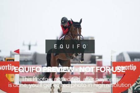 CSIO_Zduchovice_2025_FR_J_NATIONS_CUP-0077.jpg