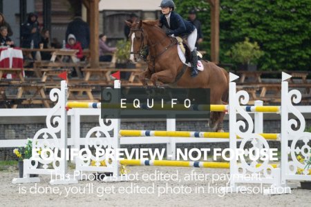CSIO_Zduchovice_2025_FR_J_NATIONS_CUP-0127.jpg