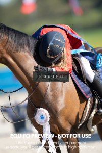 CSIO_Zduchovice_2025_SUNDAY_CHILDREN_GP-0287.jpg
