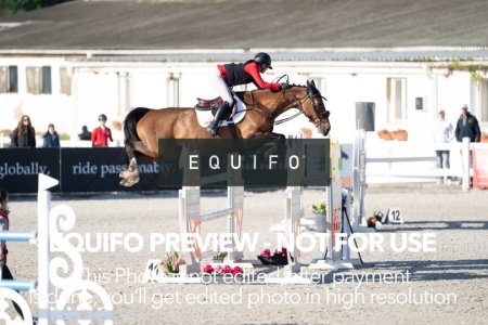 CSIO_Zduchovice_2025_SUNDAY_J_GP-0019.jpg