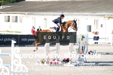 CSIO_Zduchovice_2025_SUNDAY_J_GP-0033.jpg