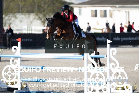 CSIO_Zduchovice_2025_SUNDAY_J_GP-0049.jpg