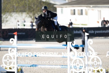CSIO_Zduchovice_2025_SUNDAY_J_GP-0059.jpg