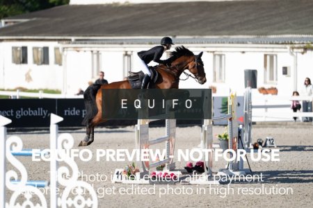 CSIO_Zduchovice_2025_SUNDAY_J_GP-0080.jpg