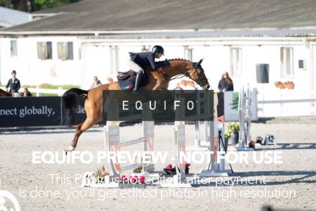CSIO_Zduchovice_2025_SUNDAY_J_GP-0121.jpg