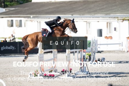 CSIO_Zduchovice_2025_SUNDAY_J_GP-0126.jpg