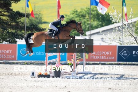 CSIO_Zduchovice_2025_SUNDAY_J_GP-0130.jpg