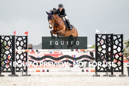 CSIO_Zduchovice_2025_THU_CH_115-0123.jpg
