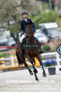CSIO_Zduchovice_2025_THU_CH_115-0157.jpg