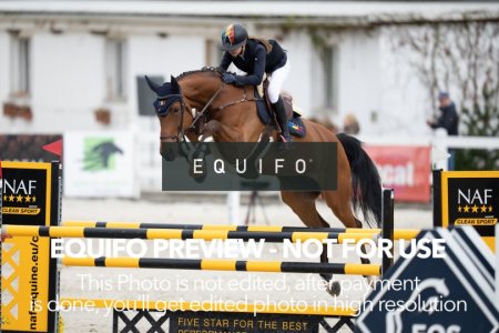 CSIO_Zduchovice_2025_THU_CH_125-0143.jpg