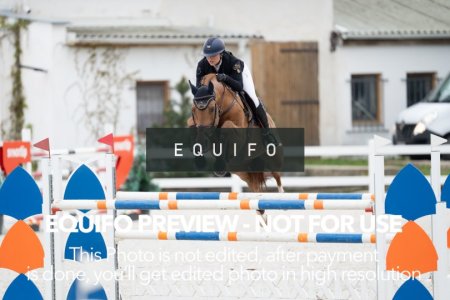 CSIO_Zduchovice_2025_THU_YR_135-0011.jpg
