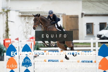 CSIO_Zduchovice_2025_THU_YR_135-0017.jpg
