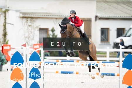 CSIO_Zduchovice_2025_THU_YR_135-0029.jpg