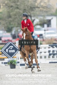 CSIO_Zduchovice_2025_THU_YR_135-0120.jpg