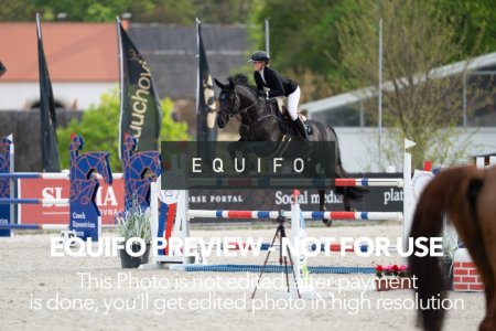 CSIO_Zduchovice_2025_Wed_J_135-0039.jpg