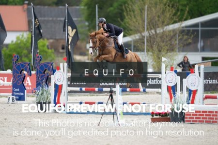 CSIO_Zduchovice_2025_Wed_J_135-0076.jpg
