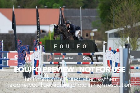 CSIO_Zduchovice_2025_Wed_J_135-0284.jpg