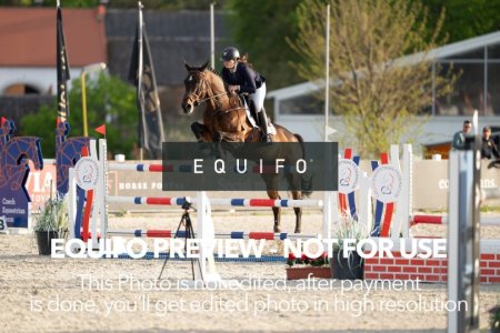 CSIO_Zduchovice_2025_Wed_J_135-0319.jpg