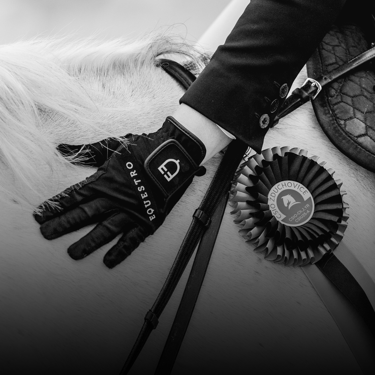 CSIO Zduchovice