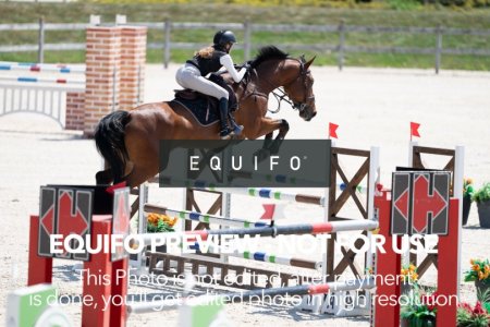 2024_Olympic_Spirit_SAT_CSI2_Bronze_125-0014.jpg