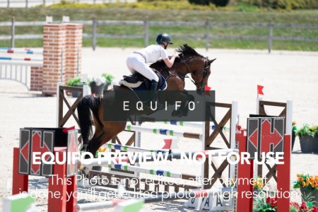 2024_Olympic_Spirit_SAT_CSI2_Bronze_125-0034.jpg