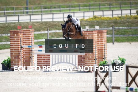 2024_Olympic_Spirit_SAT_CSI2_Bronze_125-0042.jpg