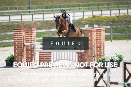 2024_Olympic_Spirit_SAT_CSI2_Bronze_125-0073.jpg