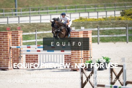 2024_Olympic_Spirit_SAT_CSI2_Bronze_125-0151.jpg