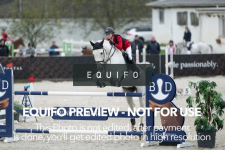 CSIO_Zduchovice_2025_FR_CH_NATIONS_CUP-0001.jpg