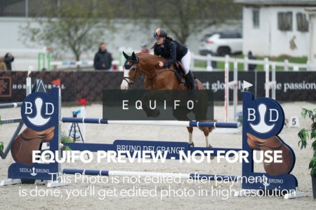 CSIO_Zduchovice_2025_FR_CH_NATIONS_CUP-0017.jpg