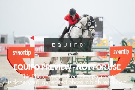 CSIO_Zduchovice_2025_FR_J_NATIONS_CUP-0044.jpg