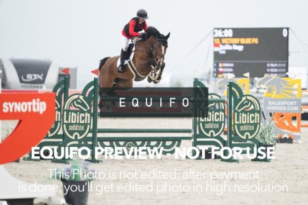 CSIO_Zduchovice_2025_FR_J_NATIONS_CUP-0049.jpg