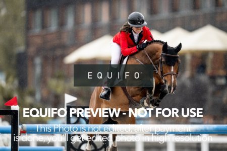 CSIO_Zduchovice_2025_FR_J_NATIONS_CUP-0184.jpg