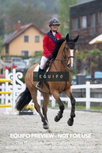 CSIO_Zduchovice_2025_FR_J_NATIONS_CUP-0236.jpg